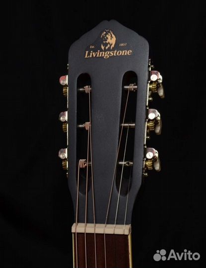 Классическая гитара livingstone Folkblues bk