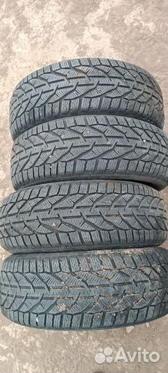 Tigar Winter 215/55 R17 98V