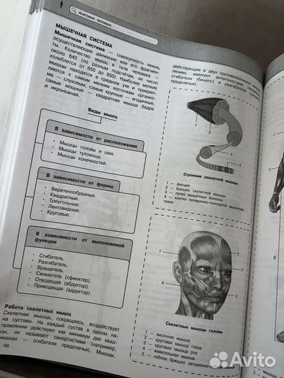 Справочники по подготовке к огэ/егэ