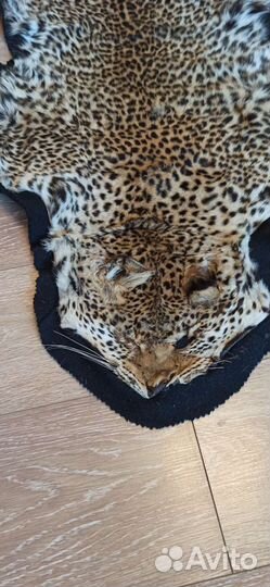 Новый натуральный ковер