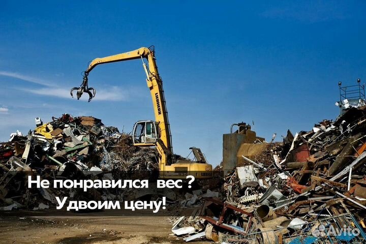 Дезинфекция