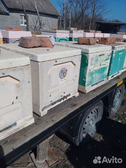 Продается пасека