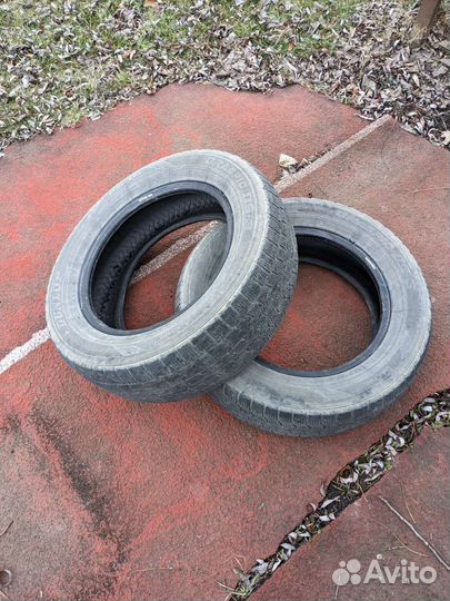 Dunlop Graspic DS3 195/65 R15