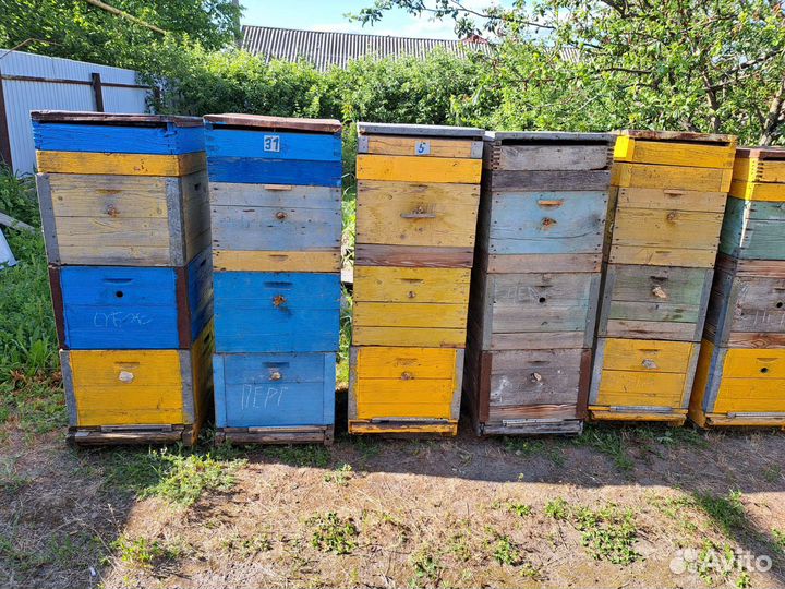 Продам ульи для пчел