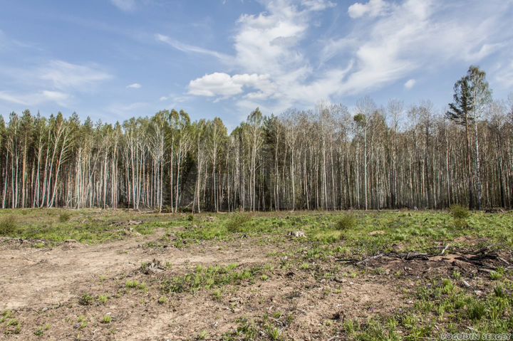 Участок 15 сот. (ИЖС)