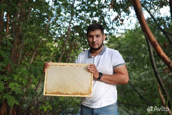 Мёд в сотах.Рамка меда в сотах 2023