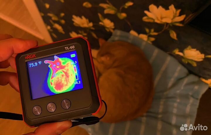 Аренда Тепловизора для обследования