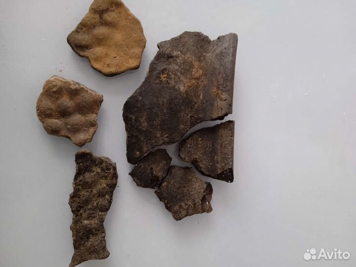 Черепки от посуды