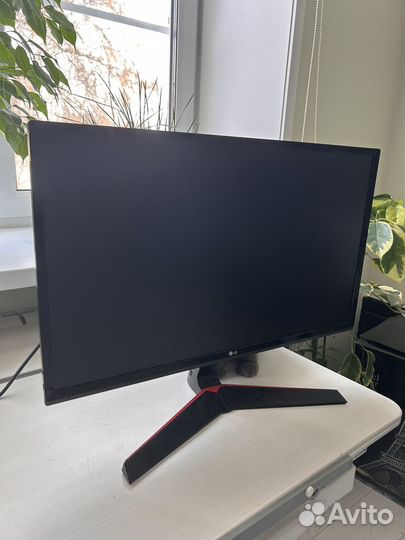 Монитор LG 24 дюйма