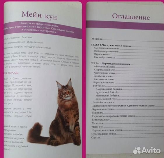 Книги о кошках