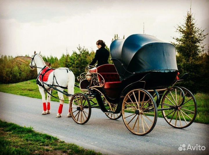 Конные прогулки, катание на санях и каретах