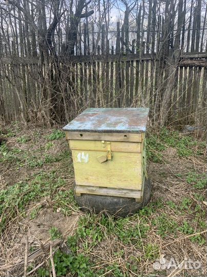 Улей для пчел бу