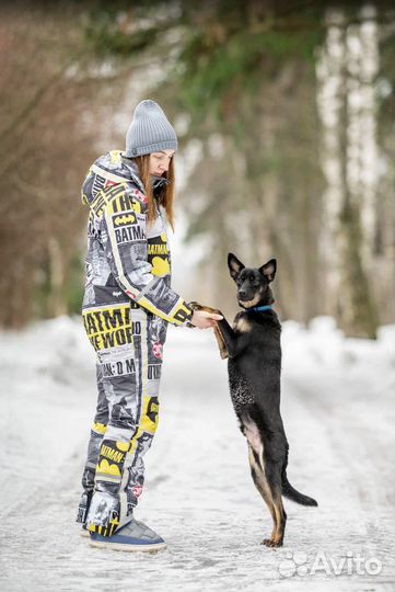 Элвиса спасли, теперь он ищет любящий дом