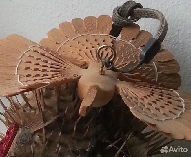 Декоративные птицы