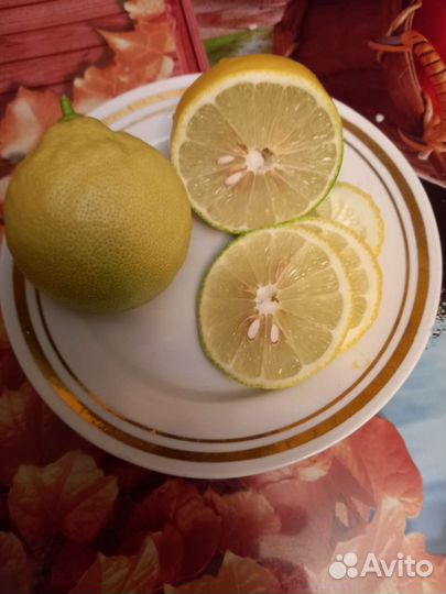 Лимоны