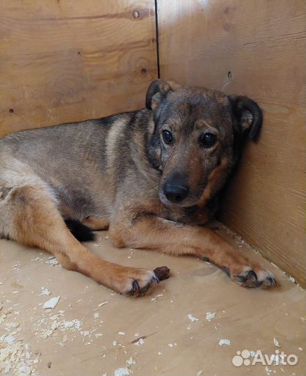 Одинокая жизнь