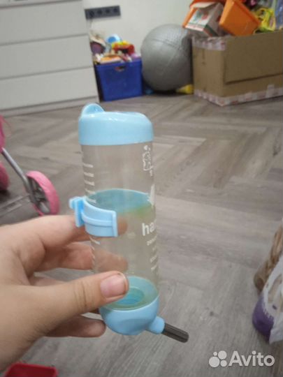 Все для хомяка