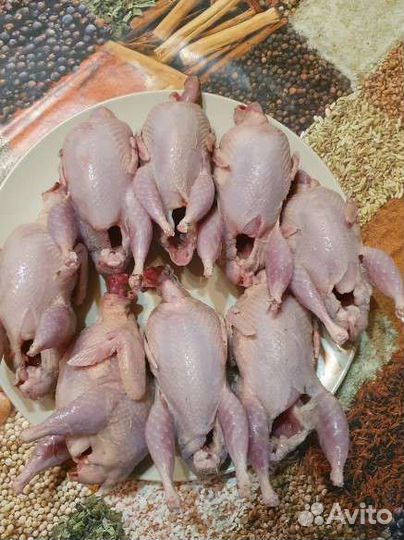 Мясо перепела