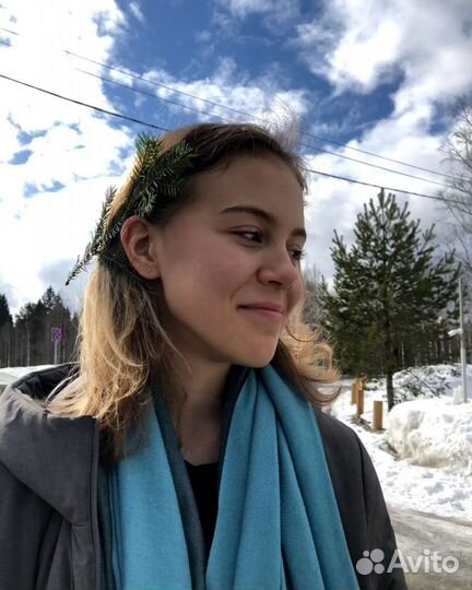 Репетитор по математике и информатике