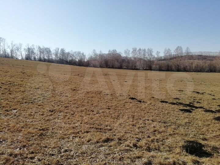 Участок 5 га (СНТ, ДНП)