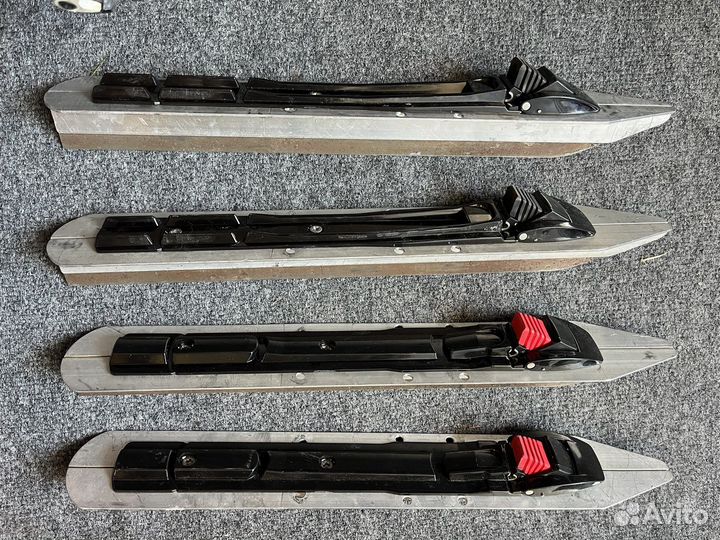 Озерные коньки