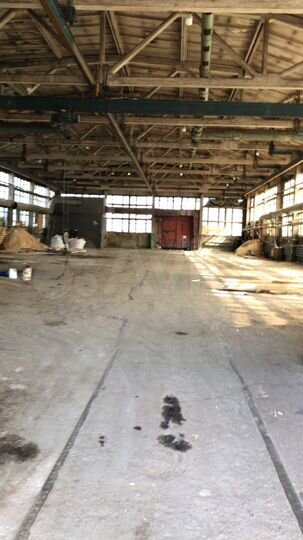 Свободного назначения, 1461.5 м²