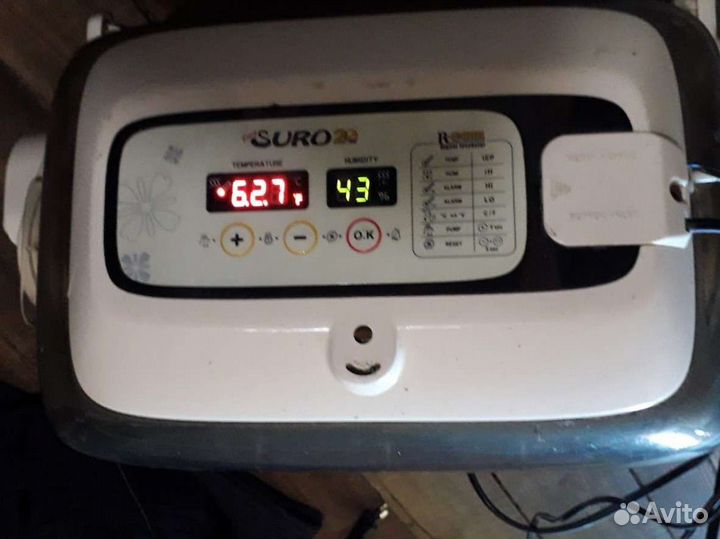 Инкубатор для яиц