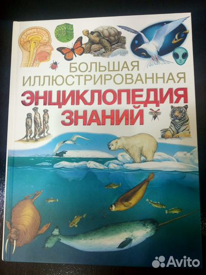 Большая иллюстрированная энциклопедия знаний