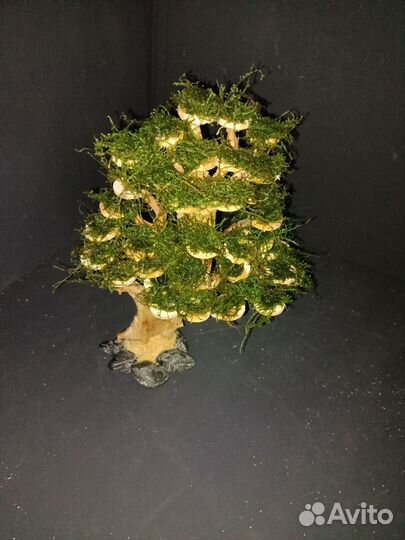 Подводный лес в аквариуме