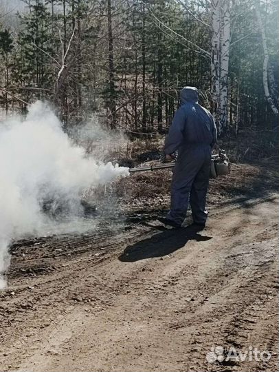 Уничтожение тараканов и клопов Дезинфекция