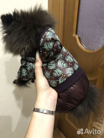 Пуховик для собак мелких пород