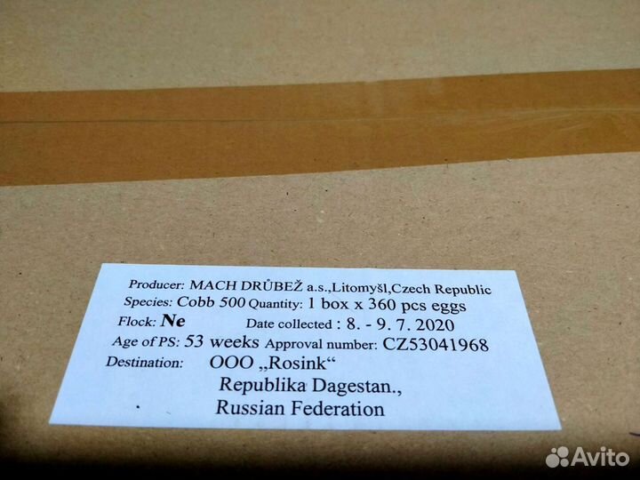 Яйцо инкубационное Вывожу на Заказ