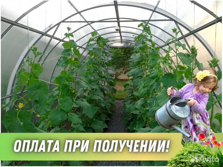Теплицы из поликарбоната