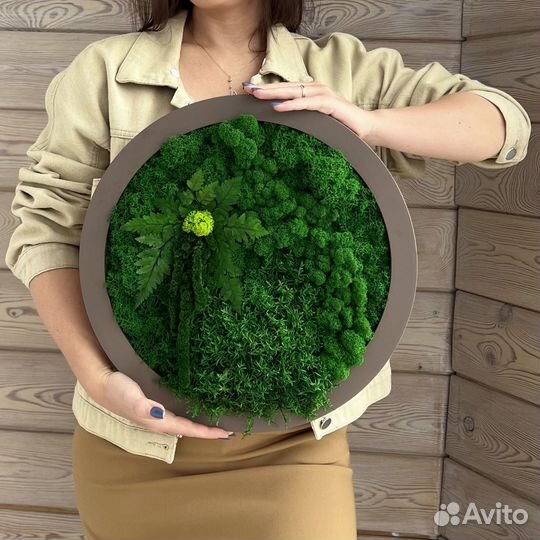 Панели из стабилизированного мха