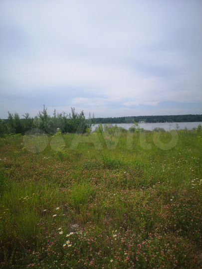 Участок 1,4 га (ИЖС)