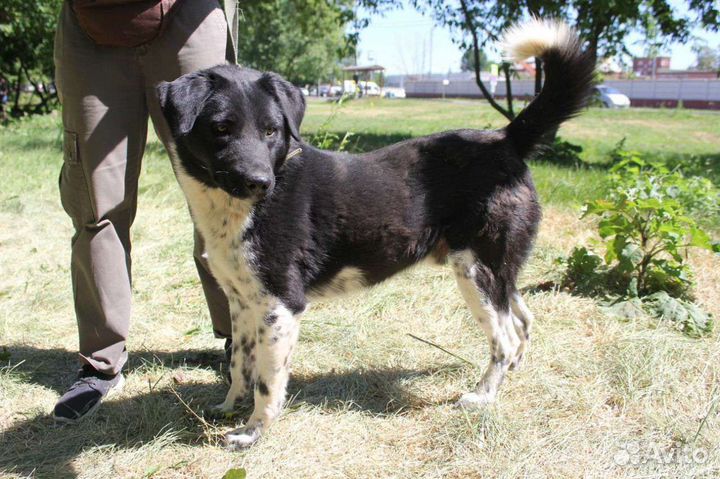 Замечательный мальчик Каен ждёт семью