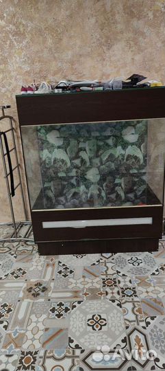 Террариум большой