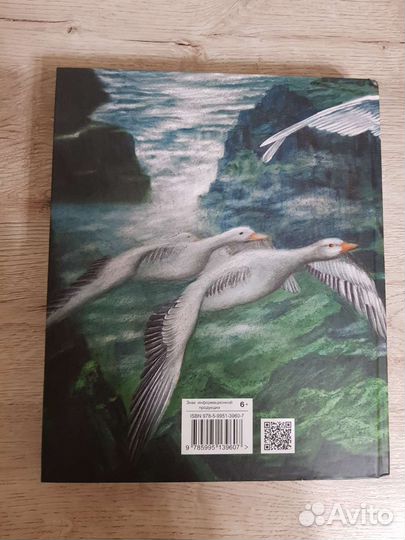 Чудесное приключение Нильса