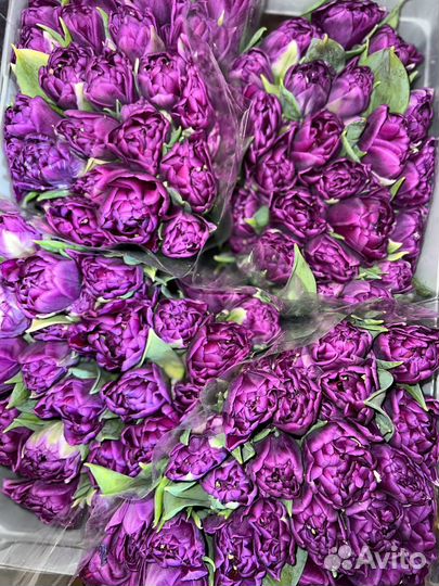 Тюльпаны к 8 марта оптом