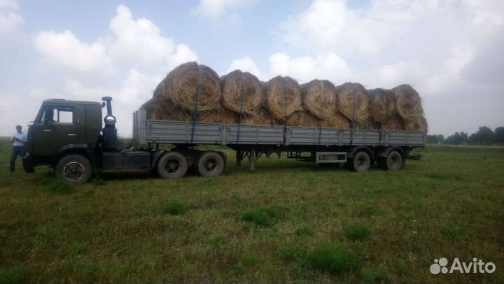 Длинномер,Лесовоз