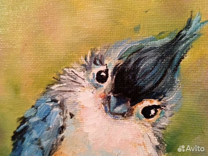 Картины для детей маслом на холсте Птичка