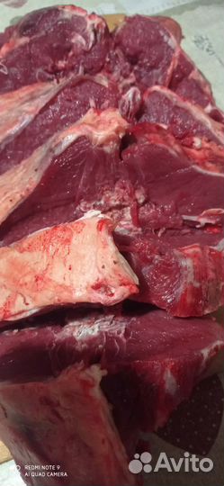 Мясо дикого кабана (арт 010)