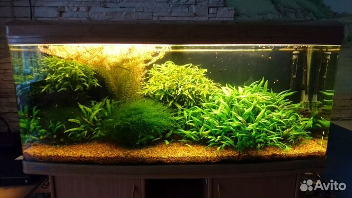 Обслуживание аквариумов