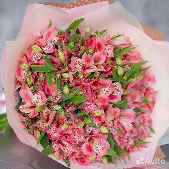 Альстромерия