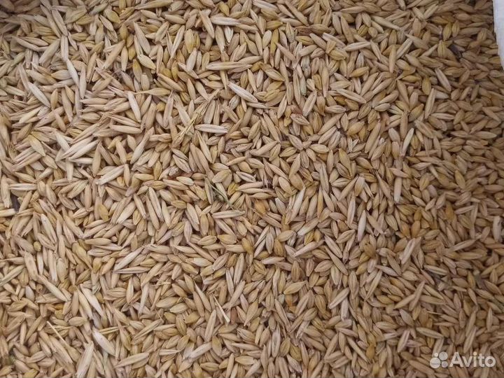 Зерносмесь