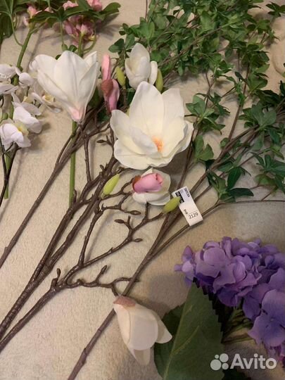 Монстера, магнолия, цветы Икеа смикка