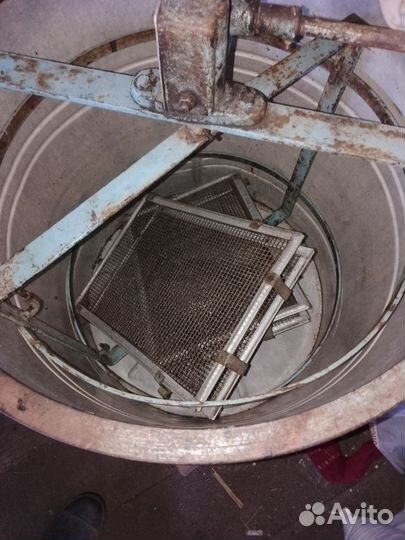 Медогонка бу