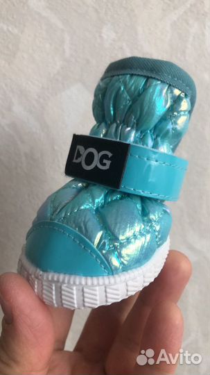 Обувь для собак мелких пород