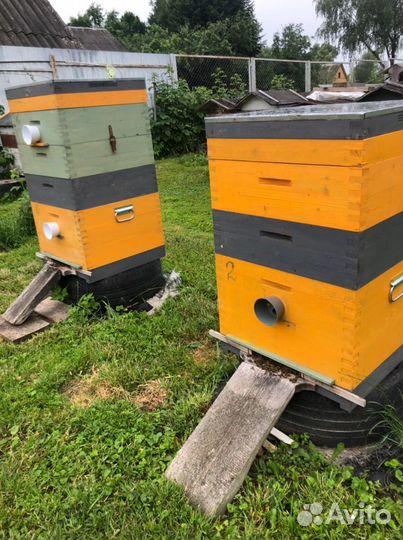 Ульи многокорпусные в шип