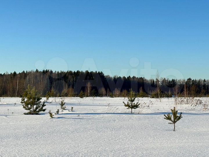 Участок 6 сот. (ИЖС)